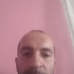 , 35, 