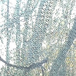 ������, ������, 38 ���