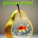 ���� �, ����������� - ��������� 6 ����� 2025 � ������ ������ ��������