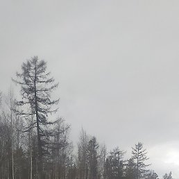 ��������, ������, 42 ����