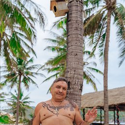 ,��������, 60 ���, ������