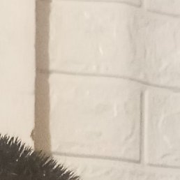 ����� �����, ������, 33 ����