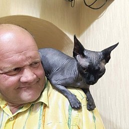 ������, ��������, 54 ����