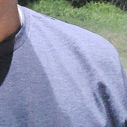 , 37 , 