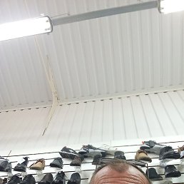 �����, ������, 65 ���