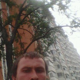 , 29, 
