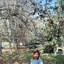 ���� �������, ���������, 67 ��� - ��������� 17 ������ 2025