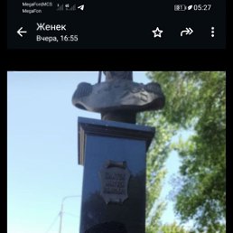 ����, 49 ���, ���������