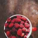 ���� �������, ���������, 38 ��� - ��������� 24 ��� 2025 � ������ ���� ����������