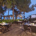 ���� �������, ������, 41 ��� - ��������� 8 ������� 2025 � ������ ���� ����������