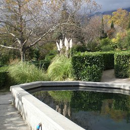 �����, �����������