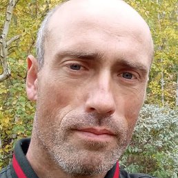 ����, ������, 41 ���