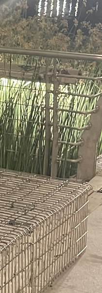 ������, ������, 28 ���