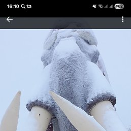 , 40, 