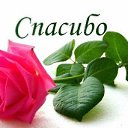 ���� �����, ����������� - ��������� 6 ������� 2025 � ������ ������ ��������