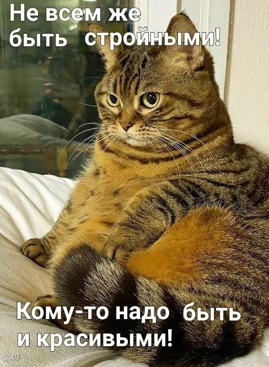 ✿ܓ☘ ������ ☕ ◕‿◕ ☕ ��������.☘ ✿ܓ - 7 ������� 2025 � 08:23