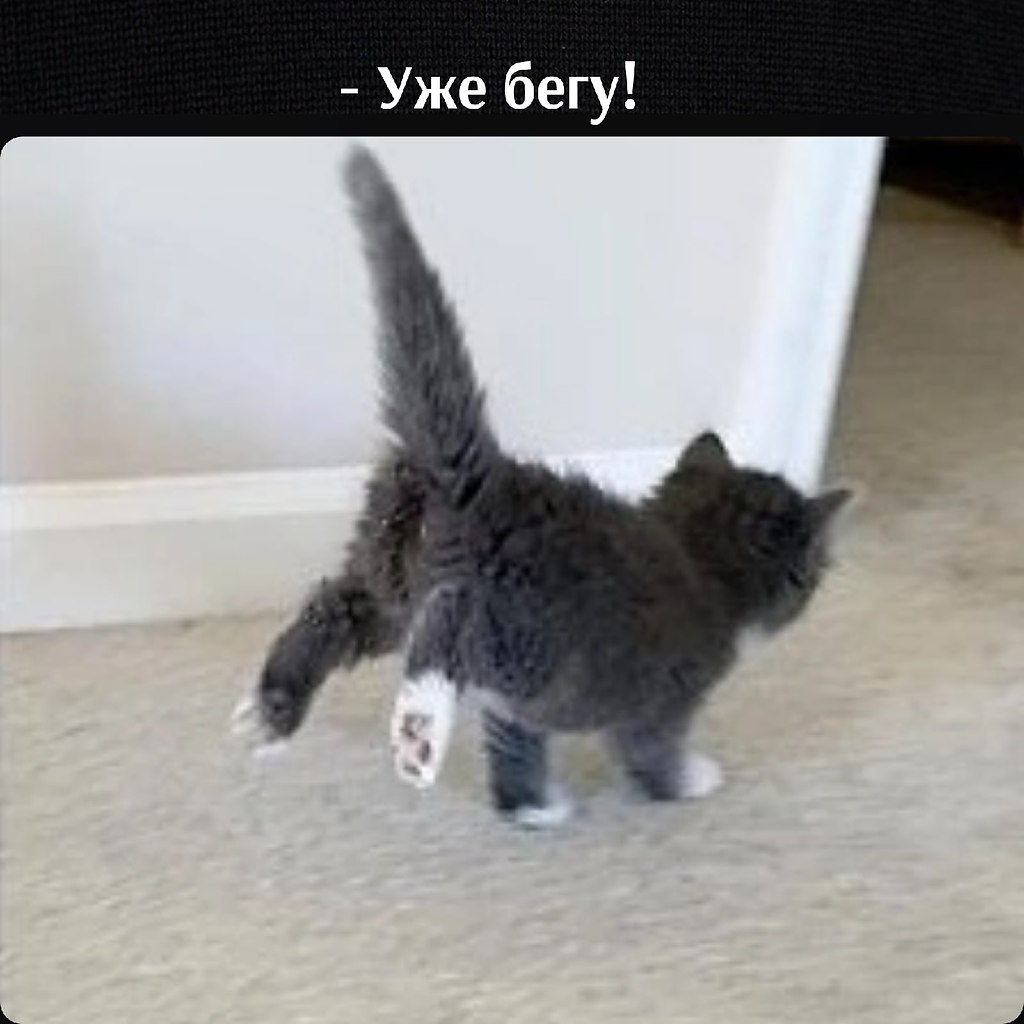       - 23  2025  16:50 - 4