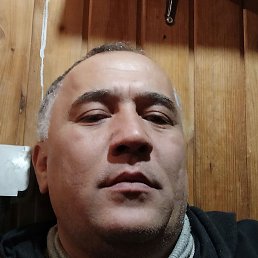 ����, ������, 50 ���