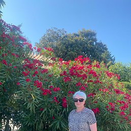 ������, �����, 58 ���