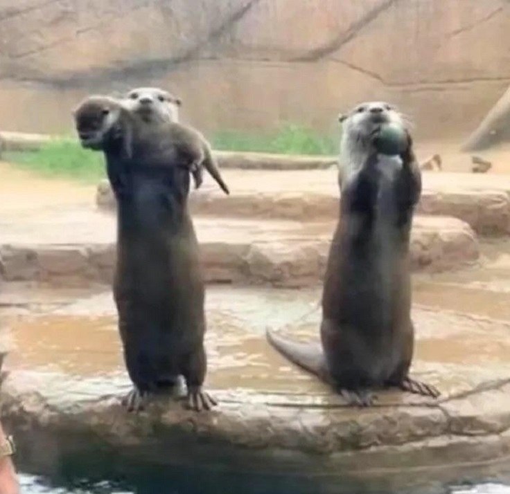 �� ������ � �������� ���-����� ���������� ���������� ���� ����� � �����������, ����� �� ������ ... - 2