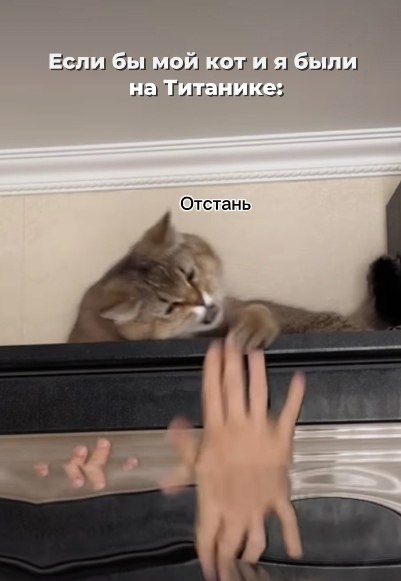 ���� �� ������ ���
