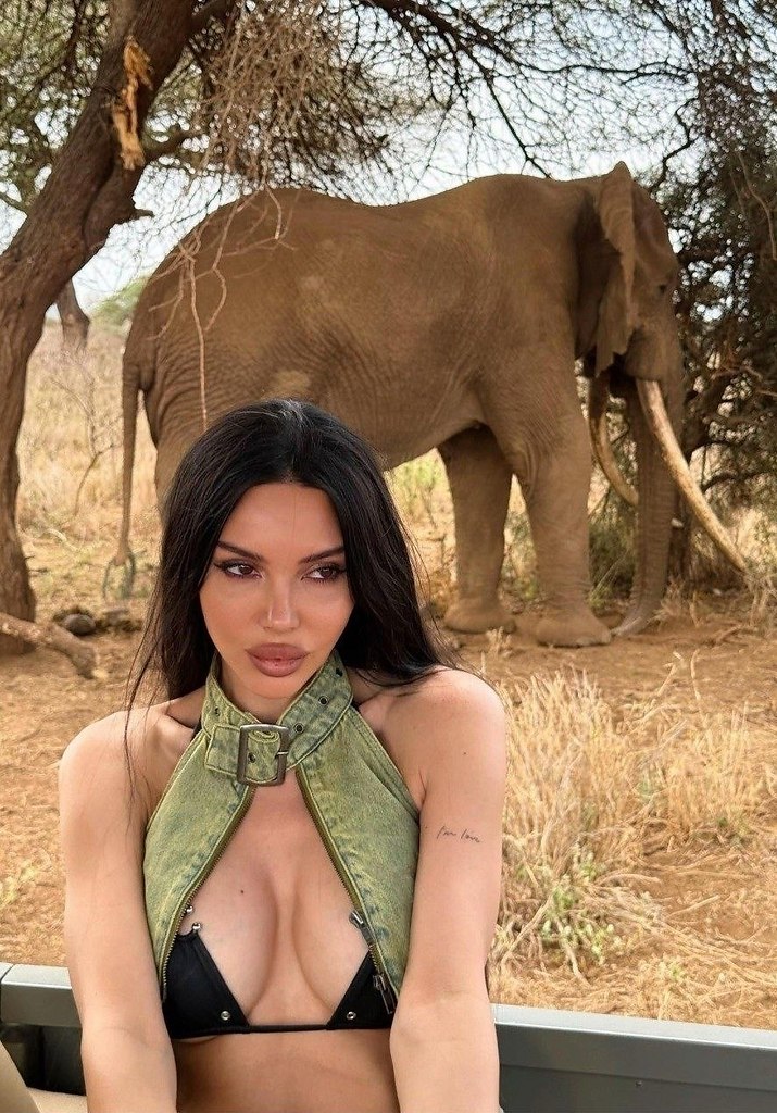 ������ ��������� � ����������� ������ ������� � ������. 37������ ������ ���������, ����������� ���� ...