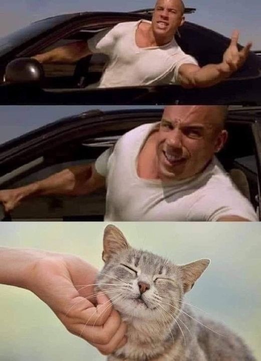    )))