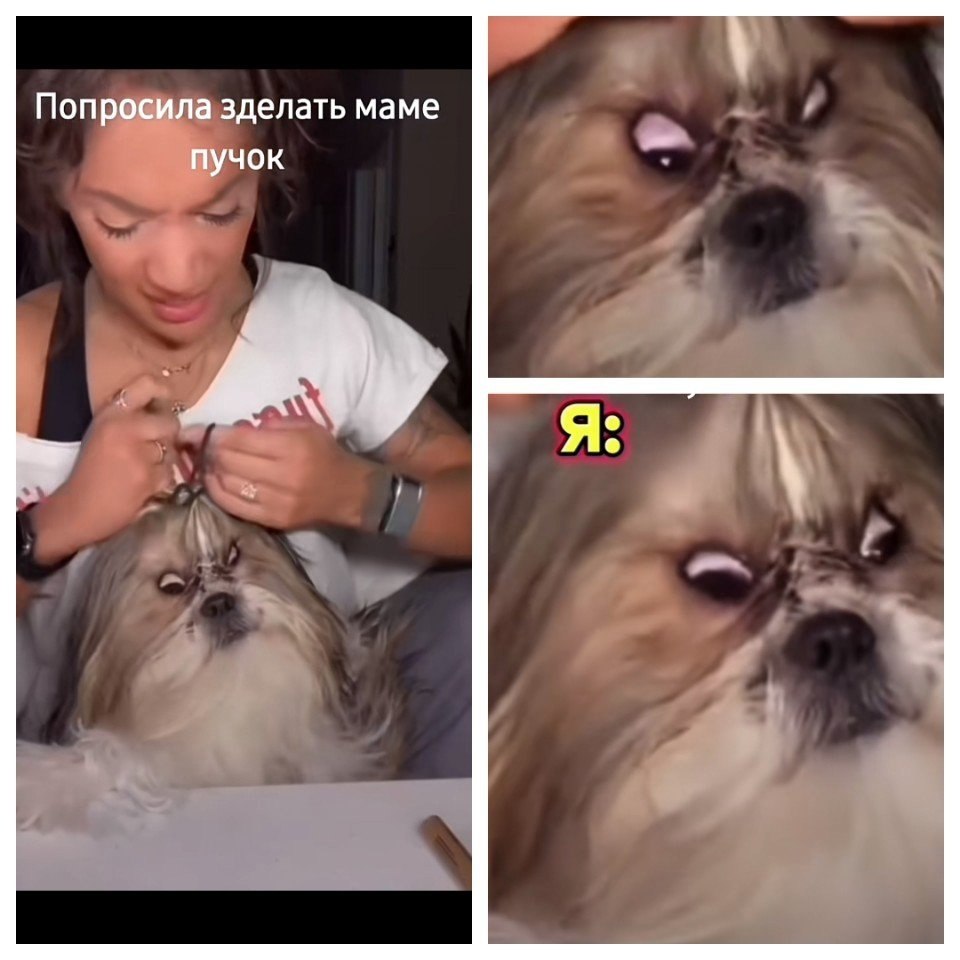 ��� � ����)