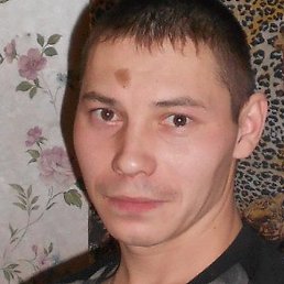 �����, ������-���, 41 ���