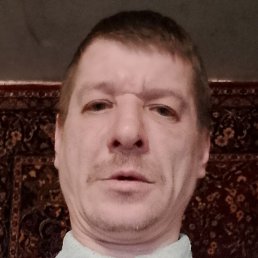 ������, �����-���������, 48 ���