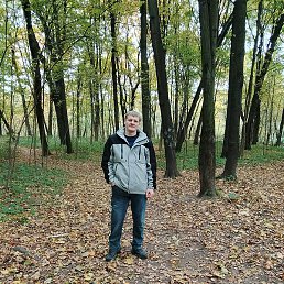 �����, ������, 39 ���