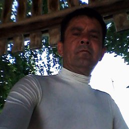 , 49, 