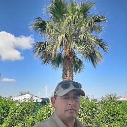 �������, 49 ���, ����