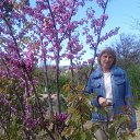 ���� ������, �����, 67 ��� - ��������� 17 ������ 2025 � ������ ���� ����������