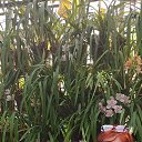 ���� �������, �������, 56 ��� - ��������� 25 ����� 2026 � ������ ���� ����������