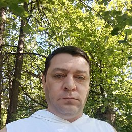 , 41, 