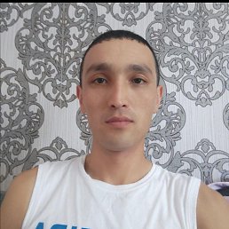 , 37, 