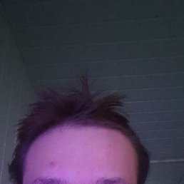 , 29, 