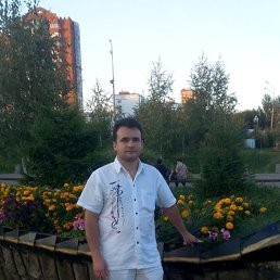 , 38, 