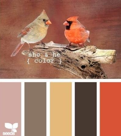 ������������� - 5