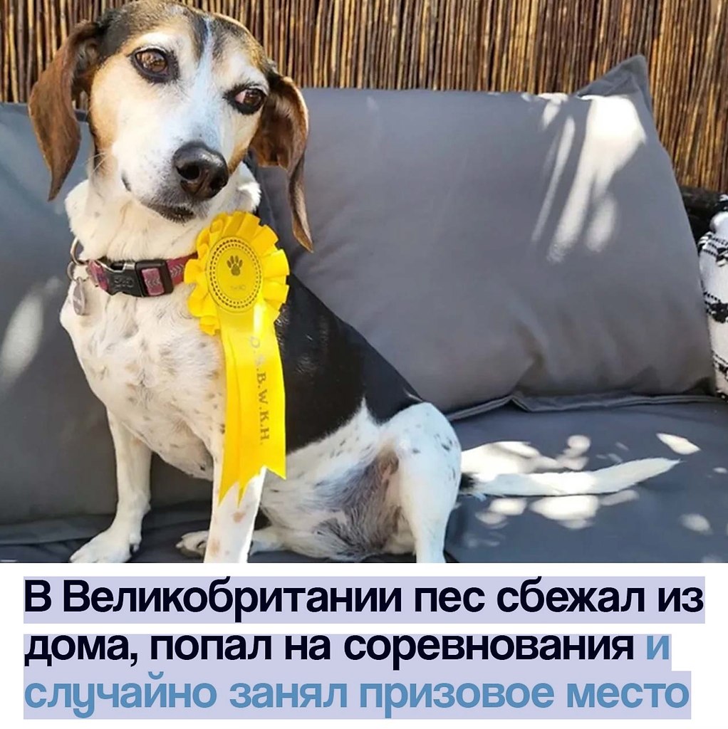  - 21  2025  14:40