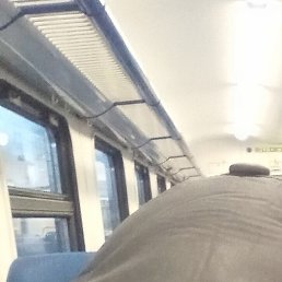 �����, ������-��-����, 49 ���