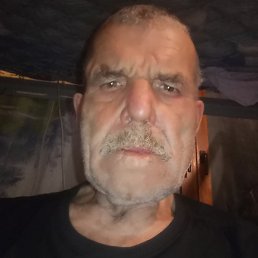 ������, 46 ���, ��������