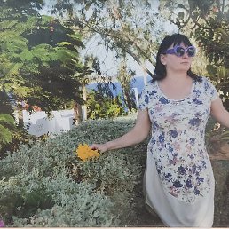 �������, ������, 62 ����