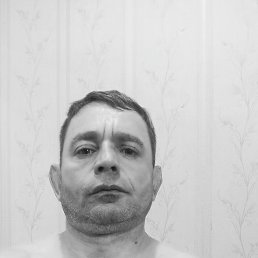 , 48, 
