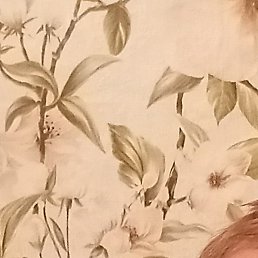 ���������, ������, 46 ���