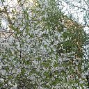 ���� �����, �����, 60 ��� - ��������� 29 ������ 2024 � ������ ���� ����������