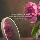 ���� ���, ������� ����, 58 ��� - ��������� 15 ������ 2025 � ������ ������ ��������