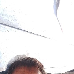 , 53 , 