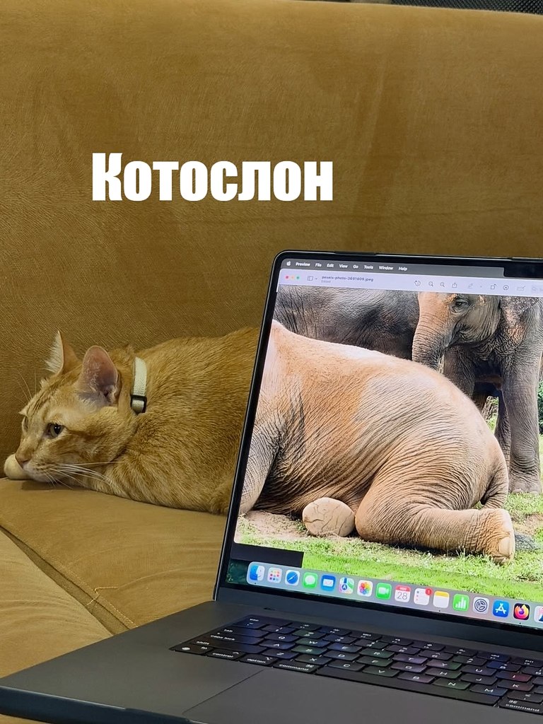 ��� ���� � ����� �� �� - 17 ������� 2025 � 18:03 - 2